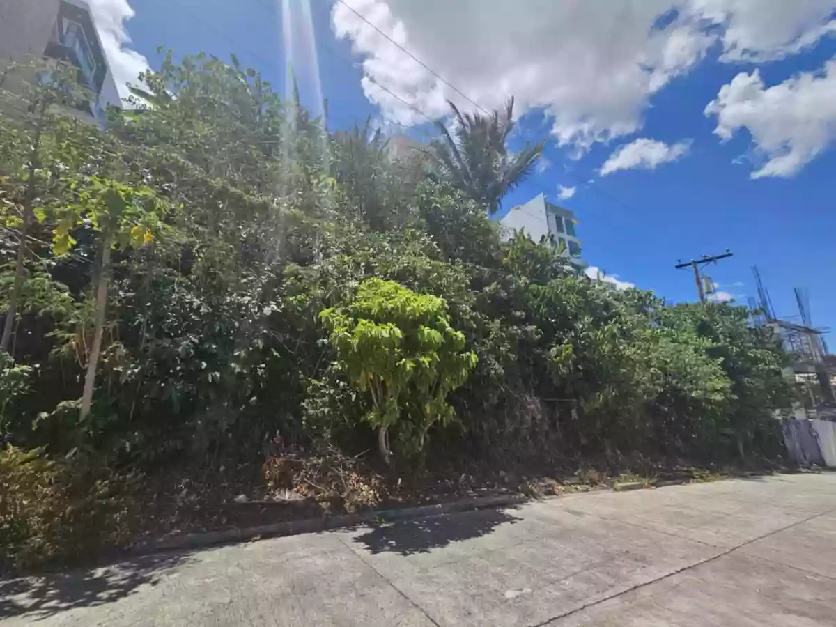 LOTS FOR SALE INSIDE SOUTH HILLS SUBDIVISION (High End Subdivision) — Residential Lot in Cebu City, Cebu, Philippines — Photo 3