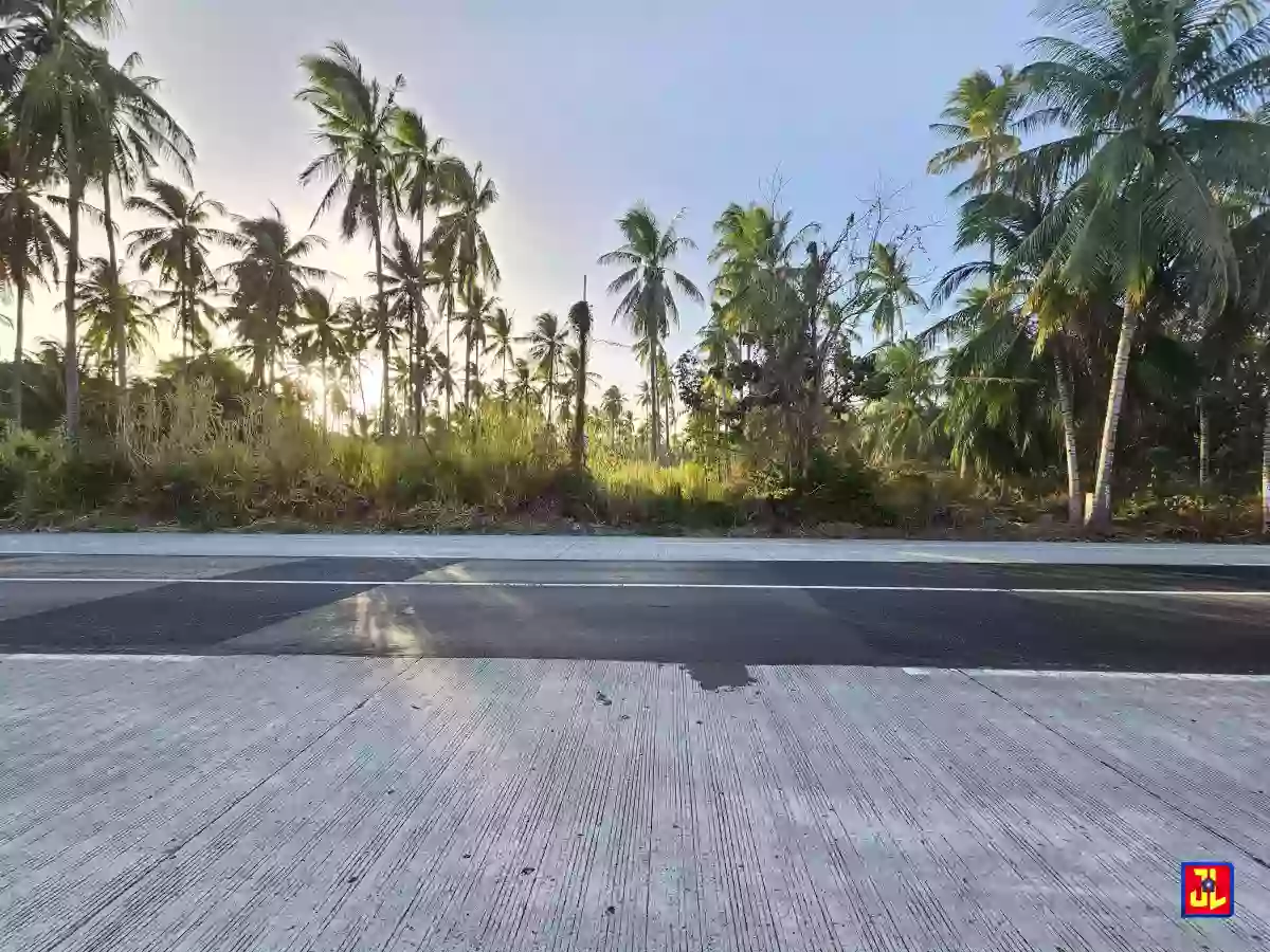 Rush Sale Amazing Commercial Lot Along National Highway Masaplod, Dauin [available] — Commercial Lot in Negros Oriental, Philippines — Photo 2