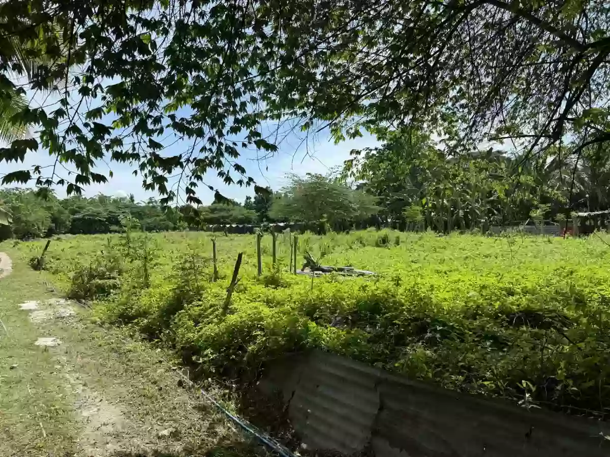 Commercial property for sale in Carcar City — Commercial Lot in Cebu, Philippines — Photo 4