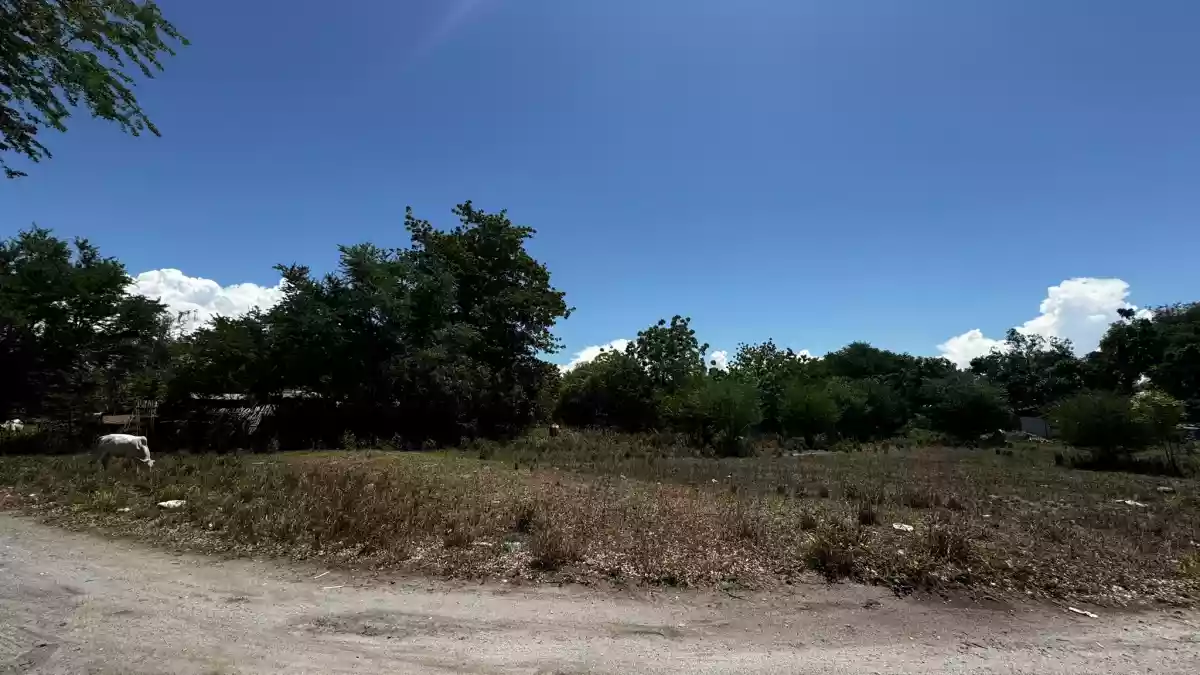 BIG LOT FOR SALE  at Barangay Tambler, Gensan! — Residential Lot in General Santos City, South Cotabato, Philippines — Photo 4