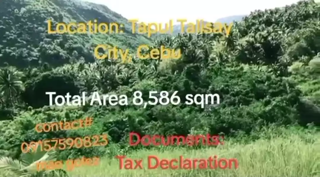 Sacrifice Sale FARM LOT, Tapul, Talisay City — Agricultural Lot in Cebu, Philippines — Photo 3