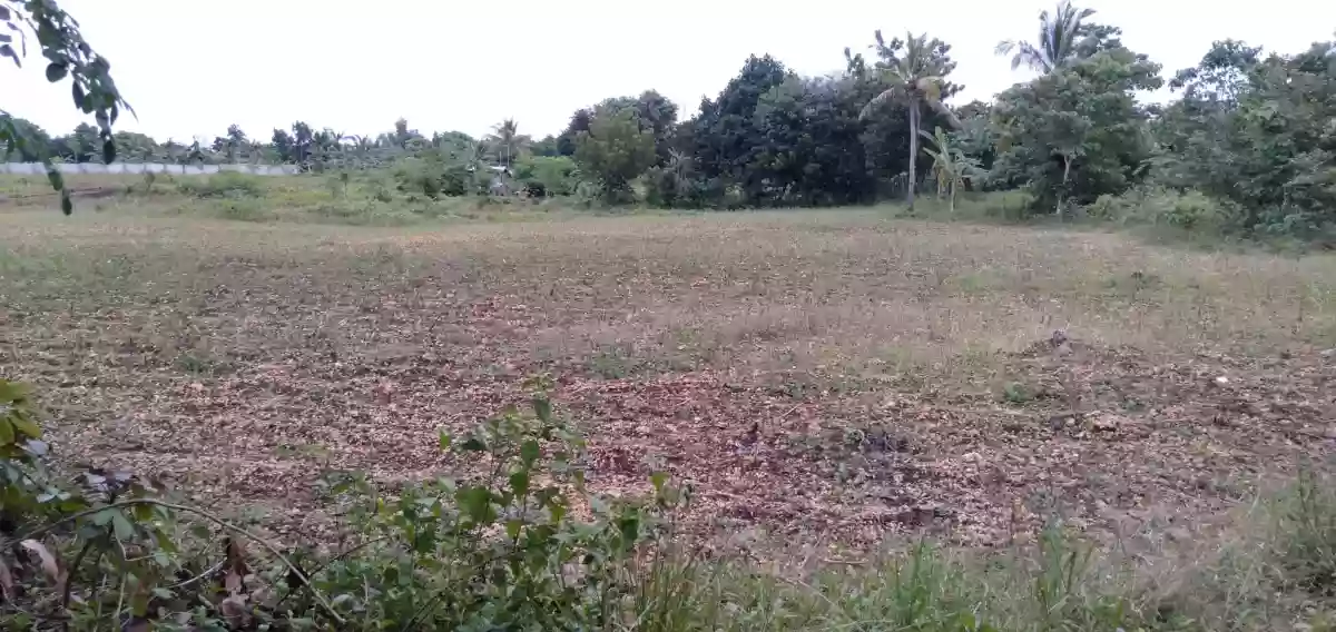 8.3 HECTARES LOT FOR SALE- BOGO CITY, CEBU