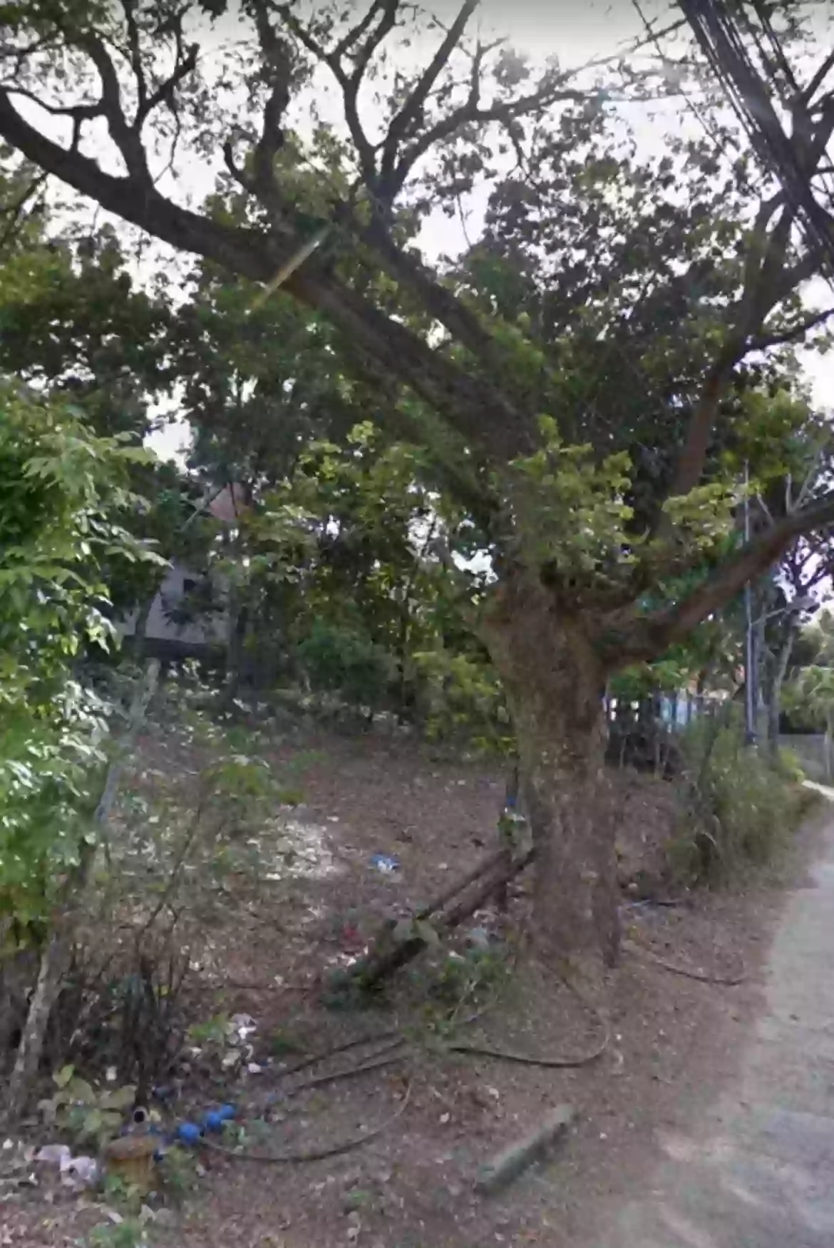 Prime Residential/Commercial Two-Front Corner-Lot in Cabatangan, Zamboanga City — Residential Lot in Zamboanga City, Zamboanga del Sur, Philippines — Photo 4