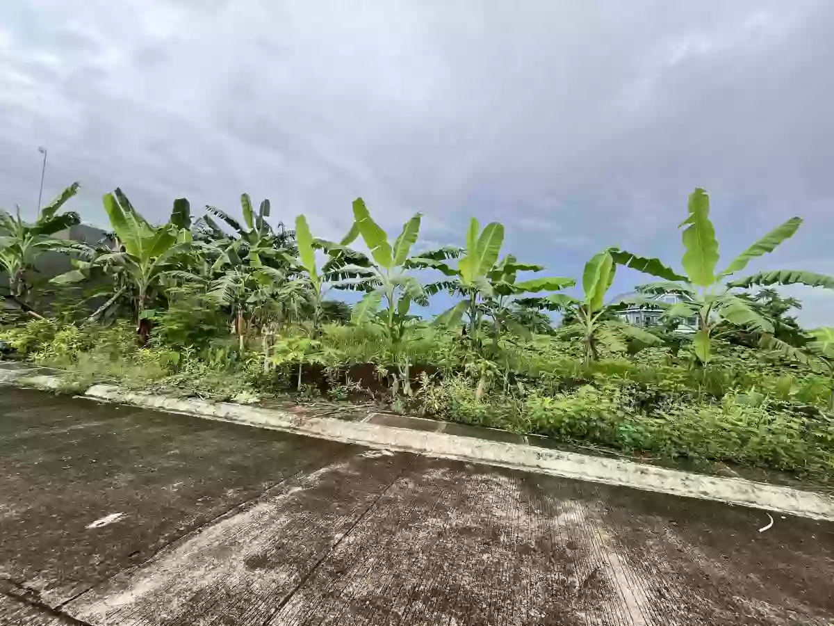 Lot for Sale — Residential Lot in Naga City, Camarines Sur, Philippines — Photo 2