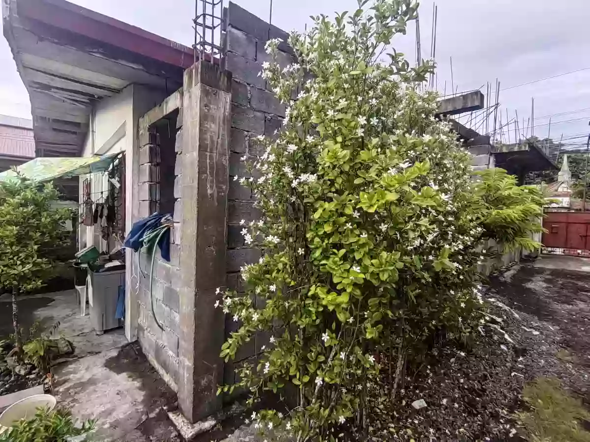 House & Lot For Sale in Legazpi City — House and Lot in Gov. Forbes Street, Legazpi Port District, Legazpi City — Photo 4