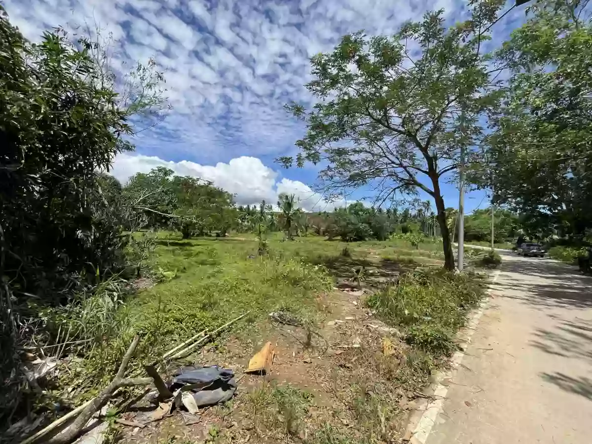 8,875 sqm AGRICULTURAL Lot for sale in COTCOT, LILOAN [TITLED] — Agricultural Lot in Liloan, Cebu, Philippines — Photo 7
