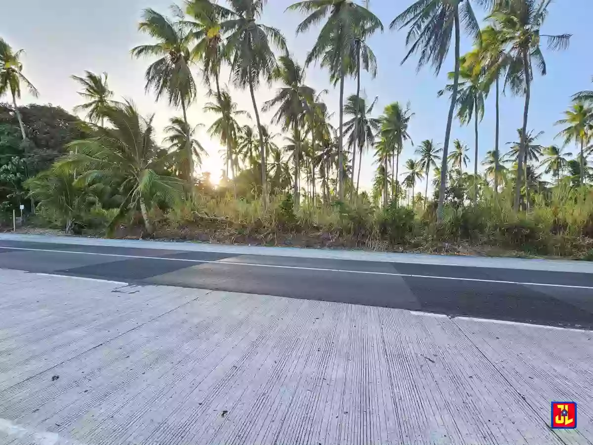 Rush Sale Amazing Commercial Lot Along National Highway Masaplod, Dauin [available]
