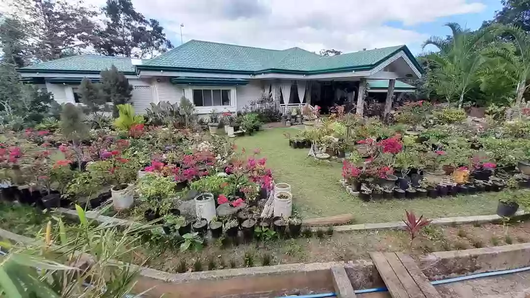 FOR SALE: Farm House in Sirao, Cebu 4,671sqm land area — Retirement House in Cebu City, Cebu, Philippines — Photo 2