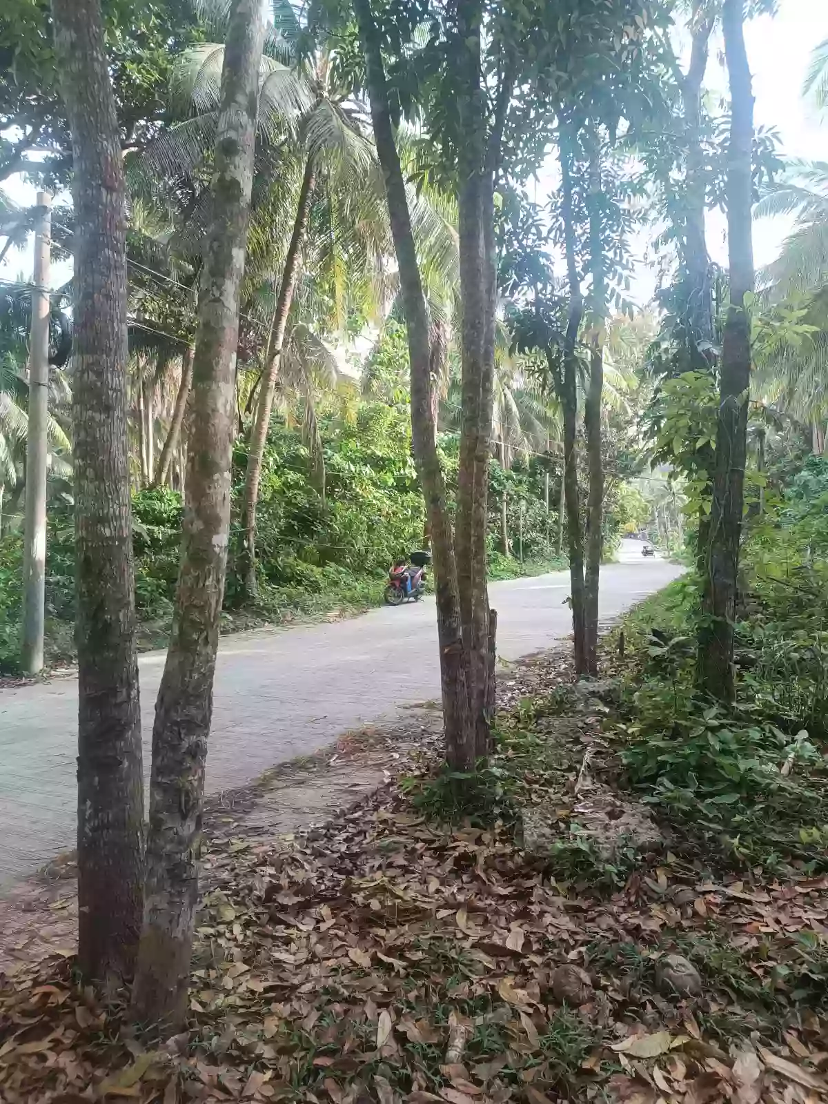 Affordable Farm/Residential Lot For Sale in Plaridel quezon
