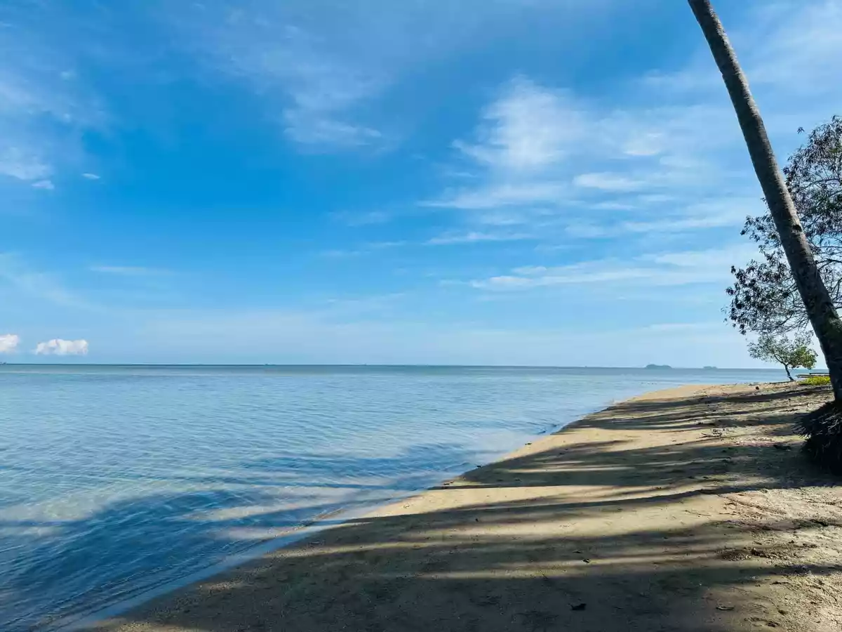 retirement beach house — Beach Lot in Quezon, Palawan, Philippines — Photo 4