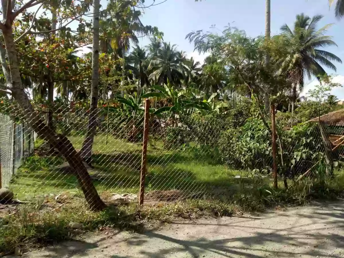 7M LOT FOR SALE IN TAGUM — Residential Lot in Bansalan, Davao del Sur, Davao — Photo 6
