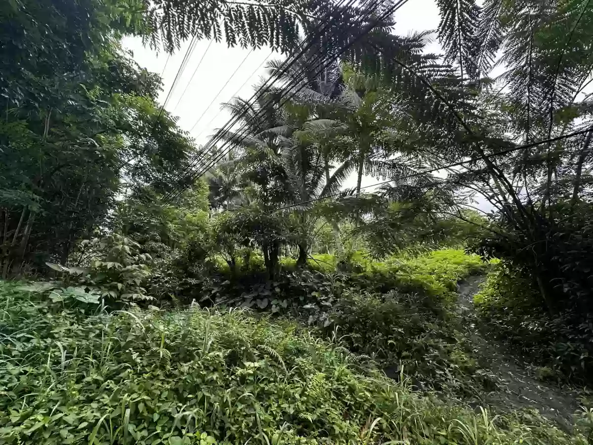 ALONG NATIONAL HIGHWAY — Commercial Lot in Tupi, South Cotabato, Philippines — Photo 2