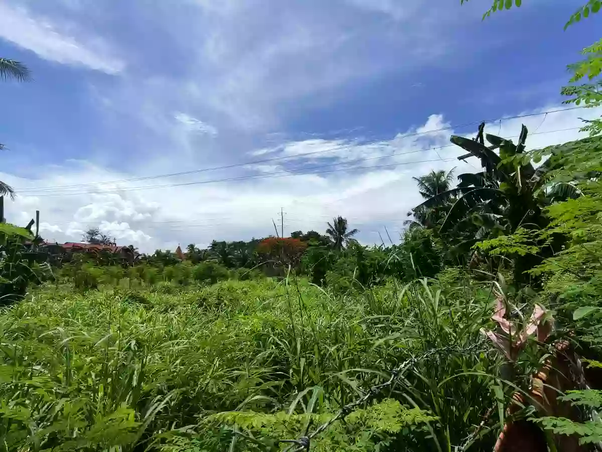 Titled Lot FOR SALE — Residential Lot in Danao City, Cebu, Philippines — Photo 4
