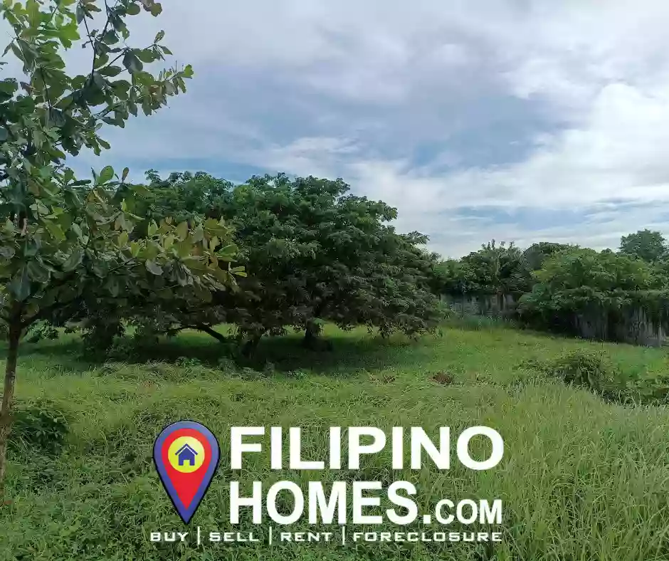 Lot for Sale Near SM Lucena — Agricultural Lot in Lucena City, Quezon, Philippines — Photo 4
