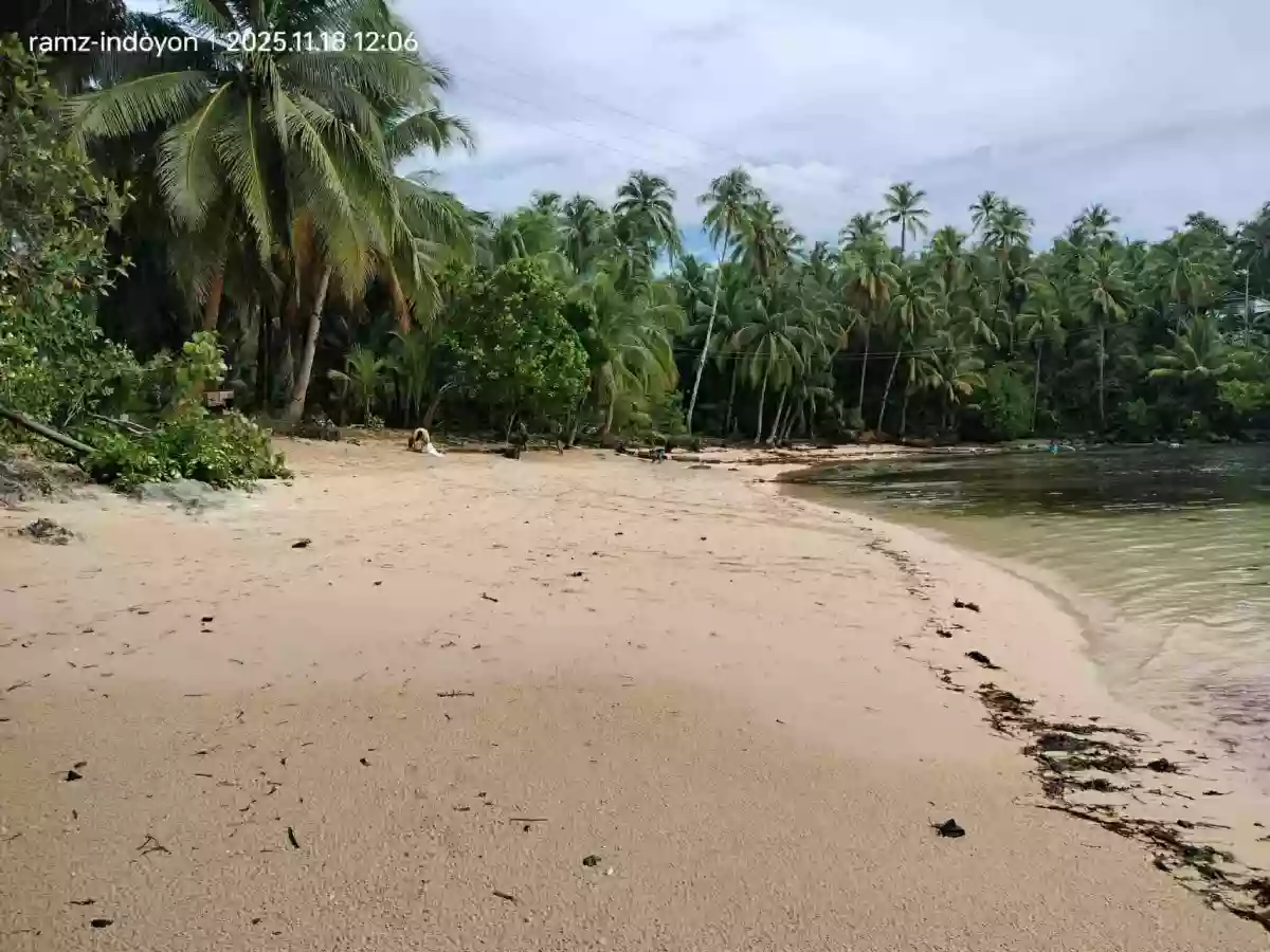 Beach Property in Hinatuan, Surigao. — Beach Lot in Surigao del Sur, Philippines — Photo 5