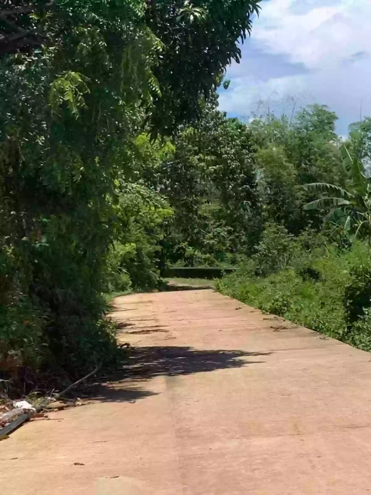 ZAMBOANGUITA NEGROS ORIENTAL Farm Lot for Sale!!!