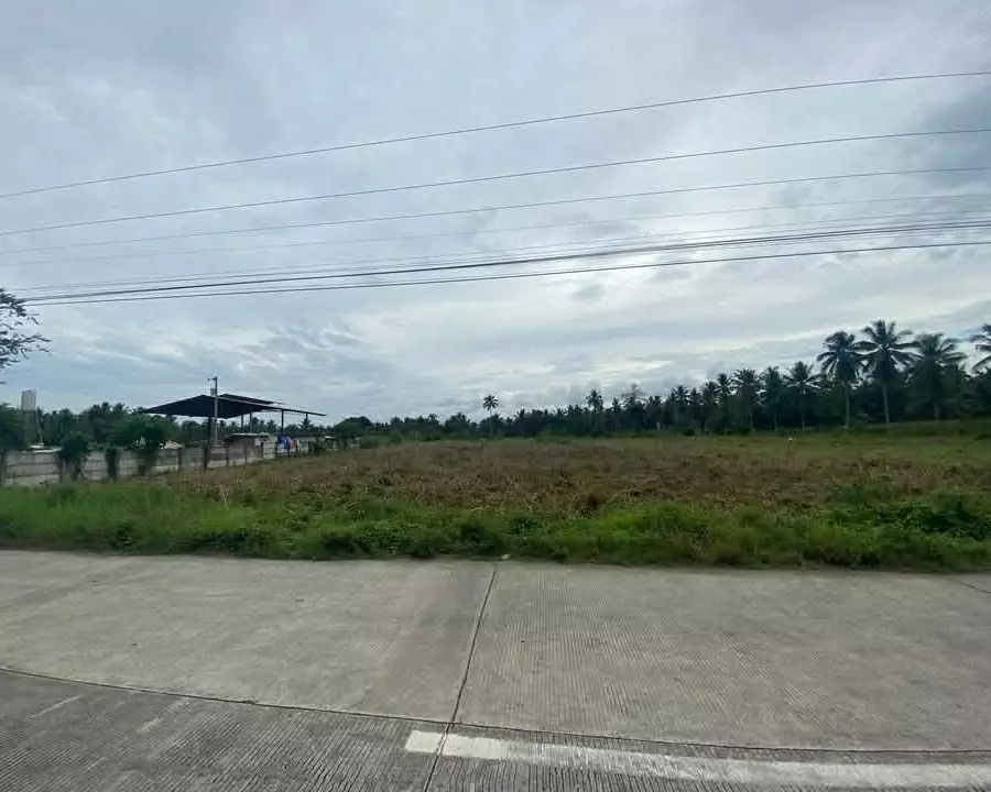 LOT FOR SALE in BANGA SOUTH COTABATO