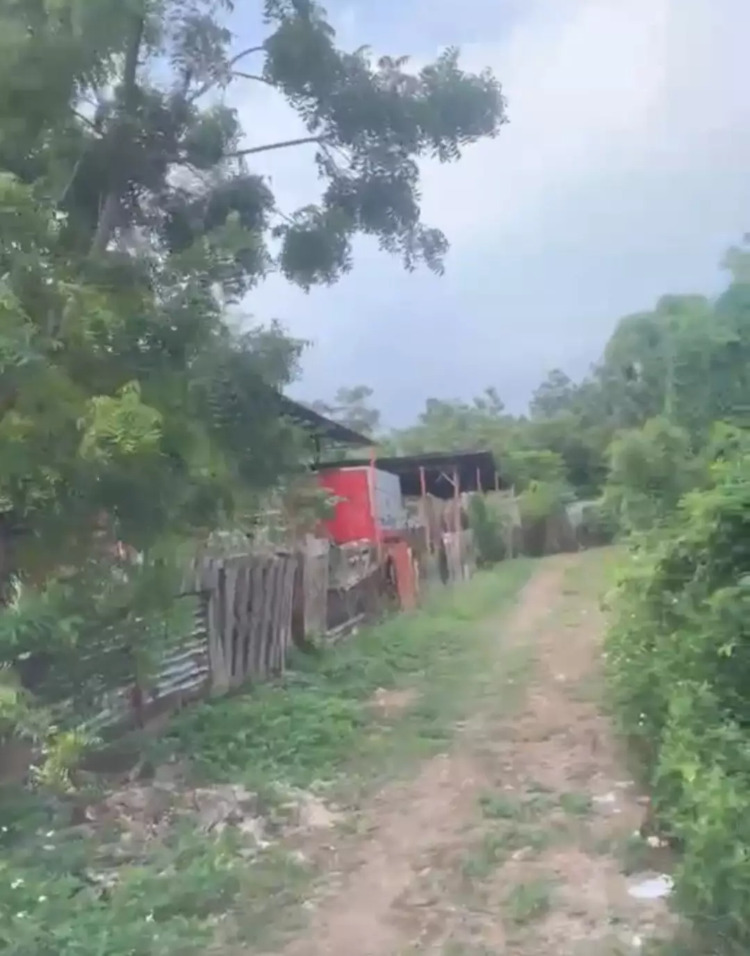 Open photo 11 of 12 — FOR SALE: PRIME LOT IN CORDOVA, CEBU!
