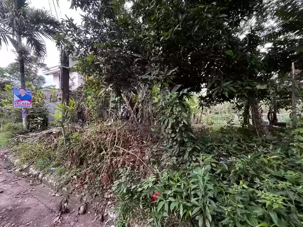 LOt 1, BLK 6, St.Paul Subdivision — Residential Lot in Pili, Camarines Sur, Philippines — Photo 3