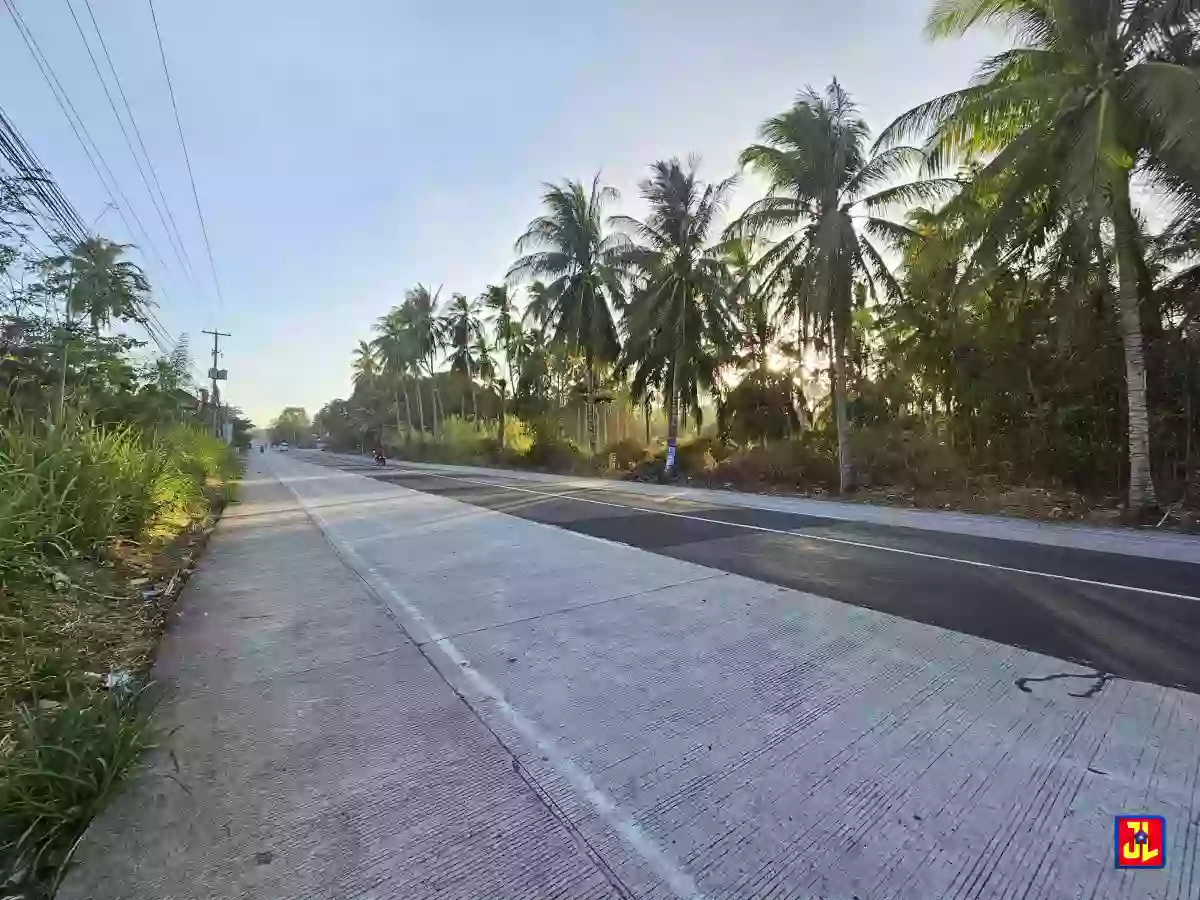 Rush Sale Amazing Commercial Lot Along National Highway Masaplod, Dauin [available] — Commercial Lot in Negros Oriental, Philippines — Photo 4