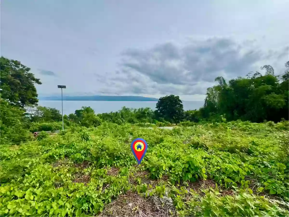 Overlooking Lot For Sale at San Jose, Negros Oriental — Residential Lot in Negros Oriental, Philippines — Photo 3