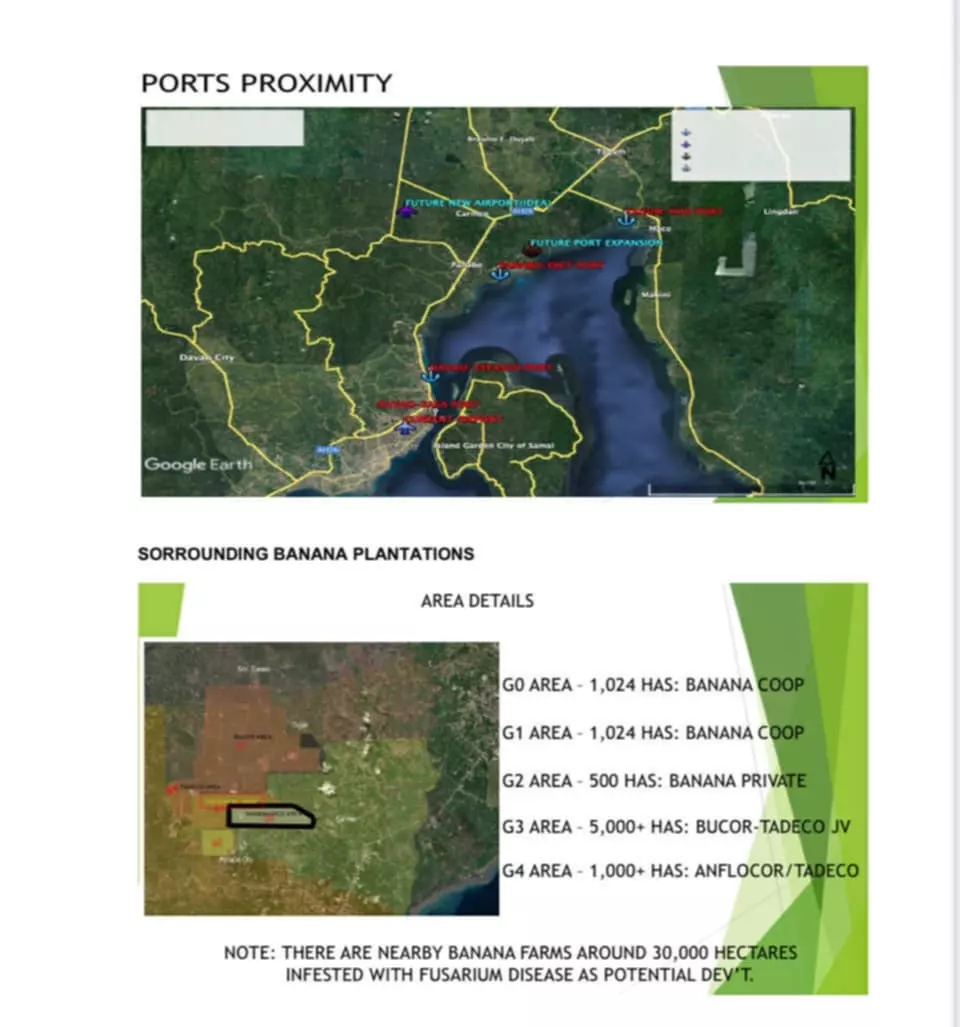 Prime 7-Hectare Lot for Sale in Carmen, Davao del Norte — Agricultural Lot in Davao del Norte, Philippines — Photo 3