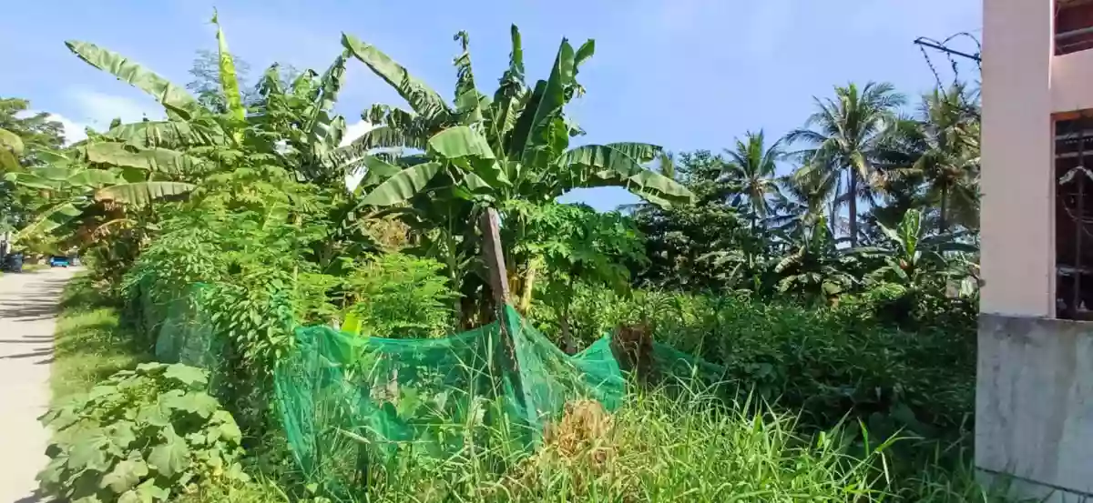2(two) adjacent Lots in near City center good for commercial/residential use — Residential Lot in South Cotabato, Philippines — Photo 2