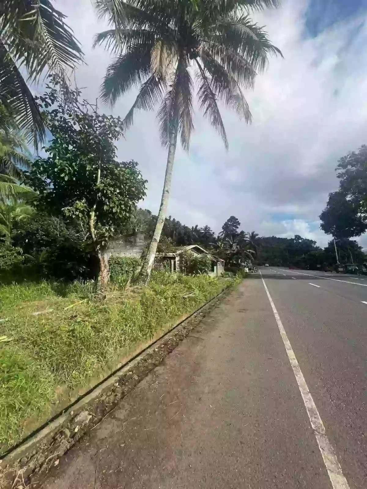 Lot for Sale — Residential Lot in pungtod, Alegria, Surigao del Norte — Photo 2