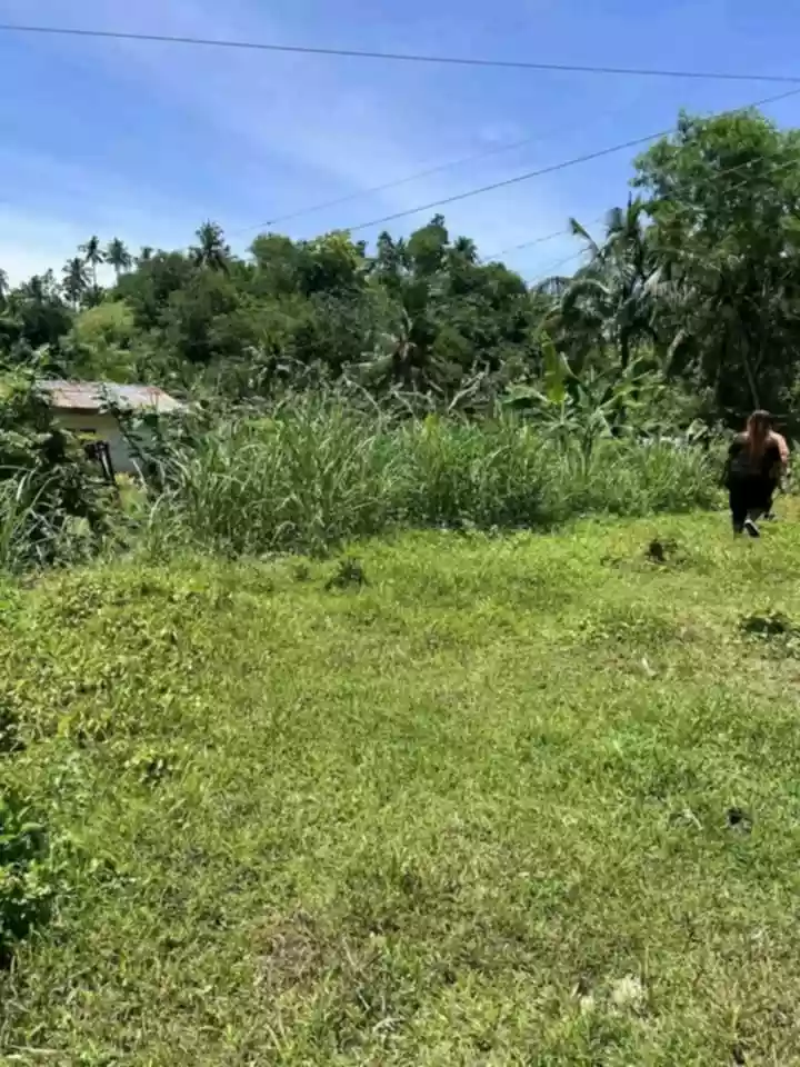 Farm Lot at Tupas Pinamungahan — Agricultural Lot in Pinamungahan, Cebu, Philippines — Photo 3