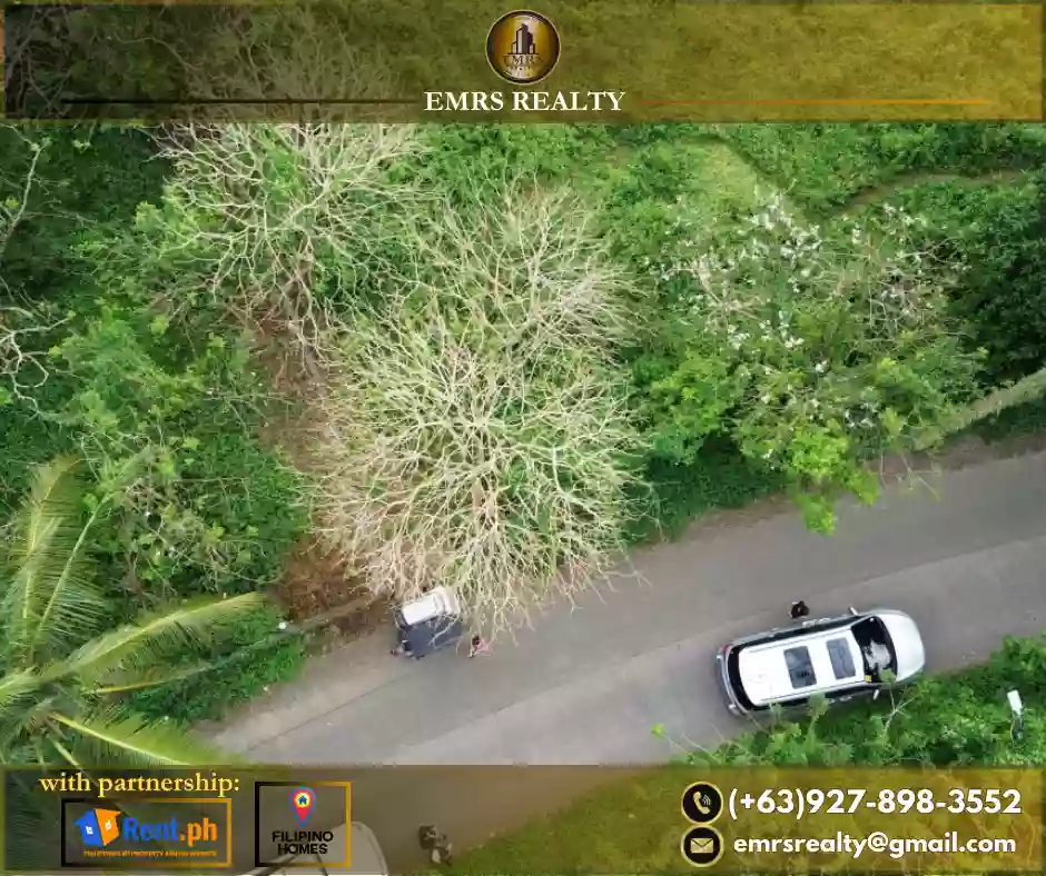 FOR SALE! 1 HECTARE FLAT FARM LOT IN AMADEO, CAVITE near Tagaytay — Agricultural Lot in Amadeo-Indang Road, Amadeo, Cavite — Photo 3