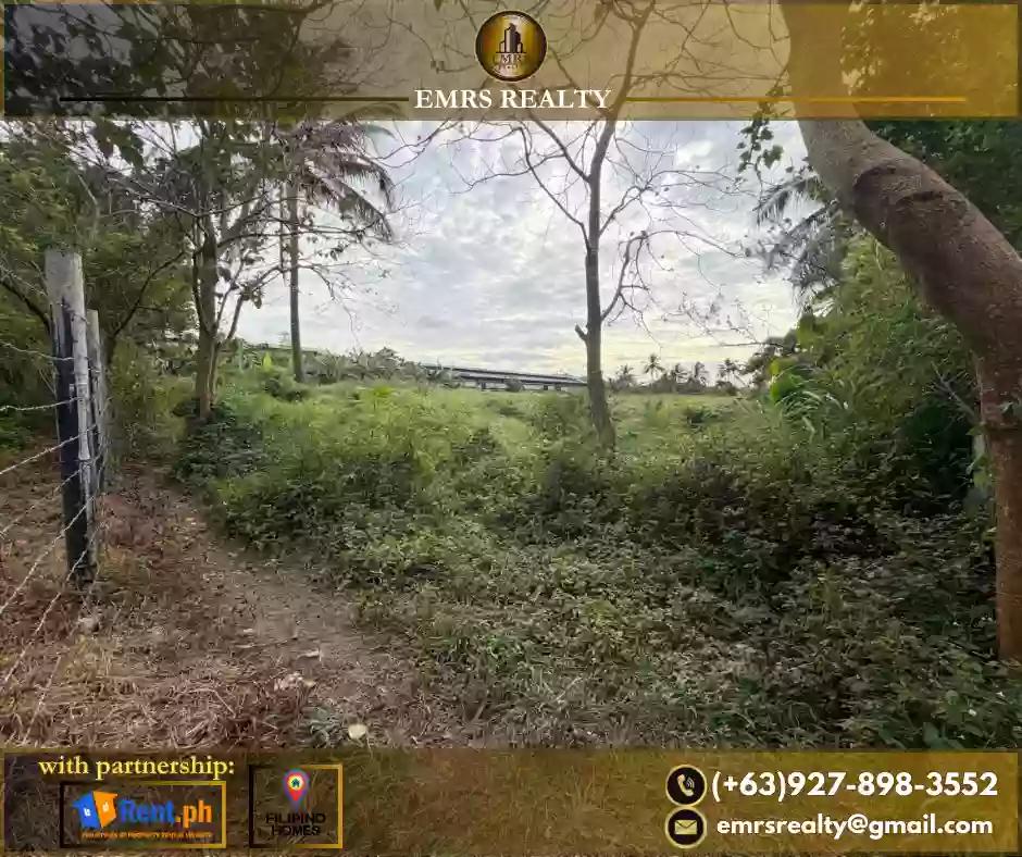 FOR SALE! 1 HECTARE FLAT FARM LOT IN AMADEO, CAVITE near Tagaytay — Agricultural Lot in Amadeo-Indang Road, Amadeo, Cavite — Photo 7