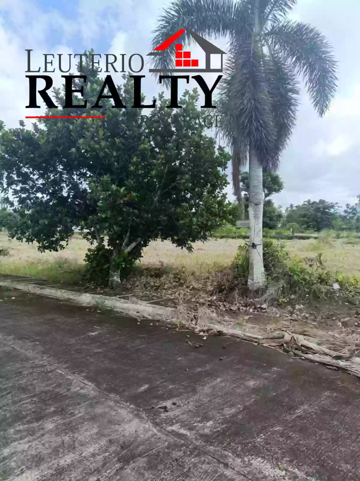 FOR SALE - RESIDENTIAL LOT IN PACOL NAGA CITY — Residential Lot in Naga City, Camarines Sur, Philippines — Photo 4