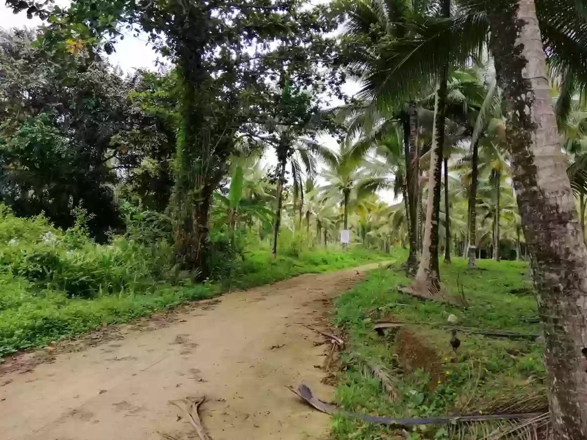 ALORAN FARM LOT