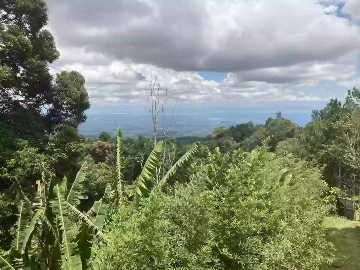LOT FOR SALE IN SIRAWAN TORIL — Residential Lot in Toril, Davao City, Davao del Sur — Photo 6