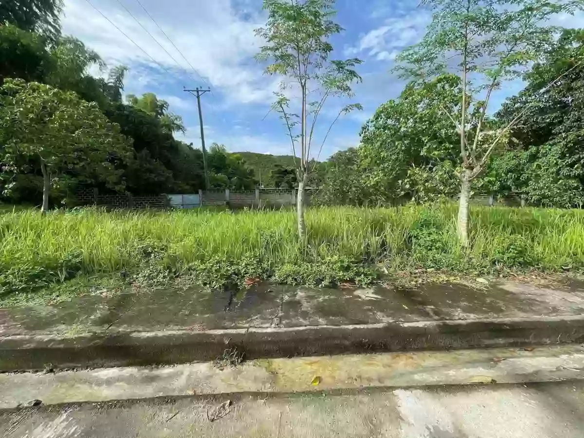 ROYALE CEBU ESTATES - LOT ONLY — Residential Lot in Consolacion, Cebu, Philippines — Photo 2