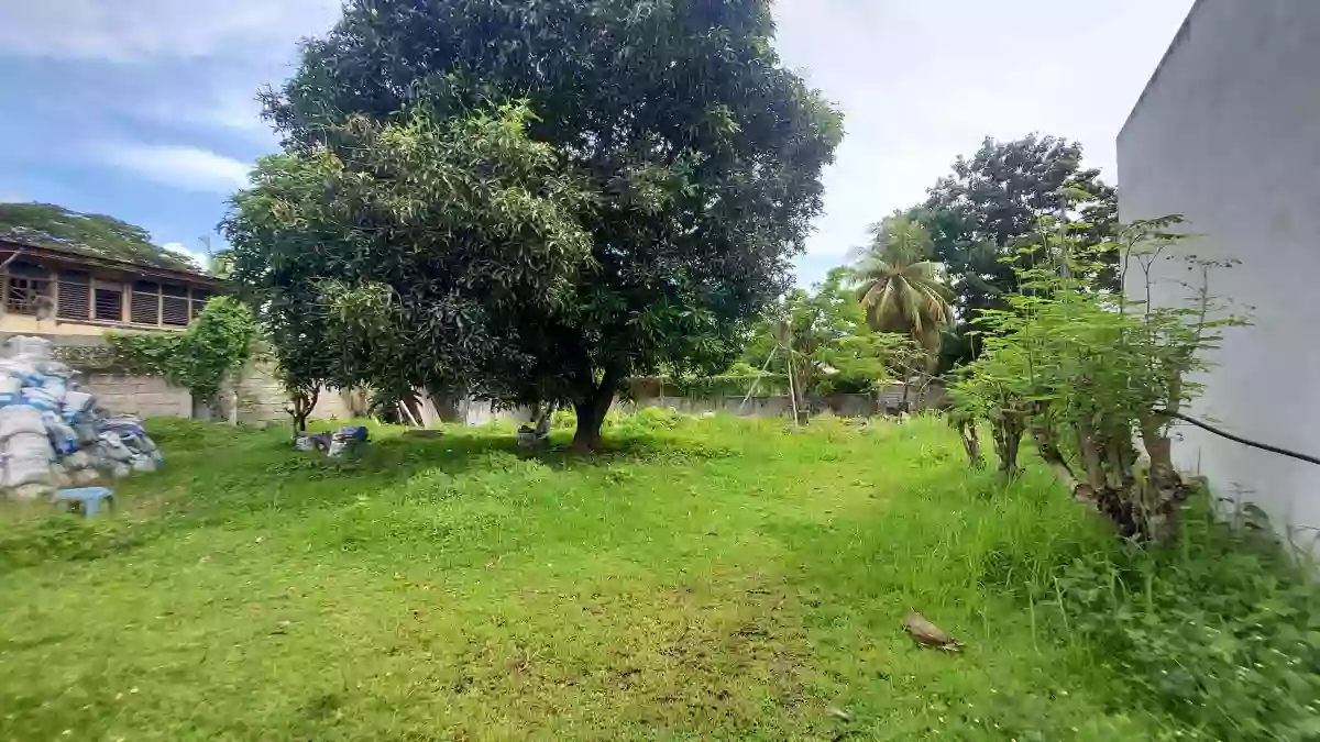 Prime commercial lot in Dumaguete