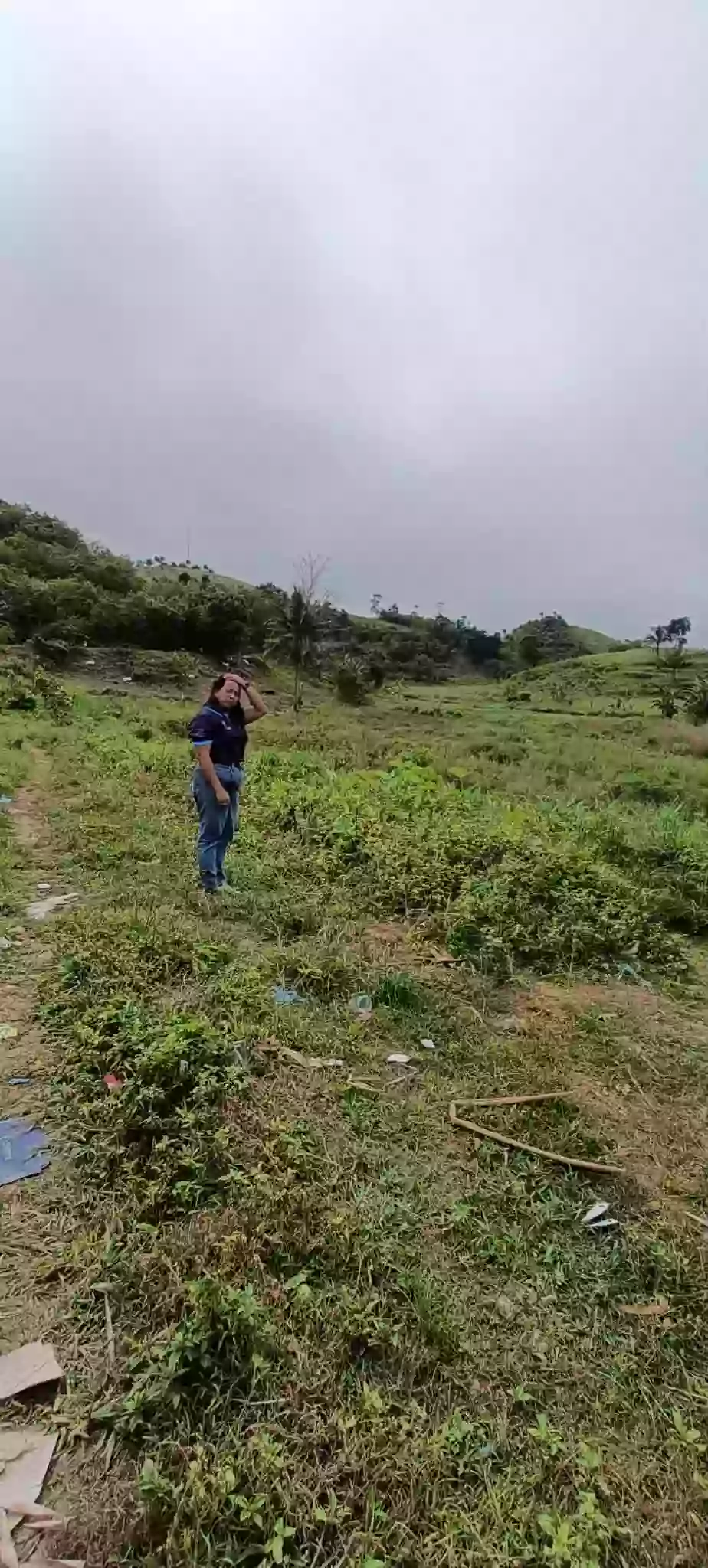 Farm Lot Flat along Provincial Road — Agricultural Lot in Pinamungahan, Cebu, Philippines — Photo 6