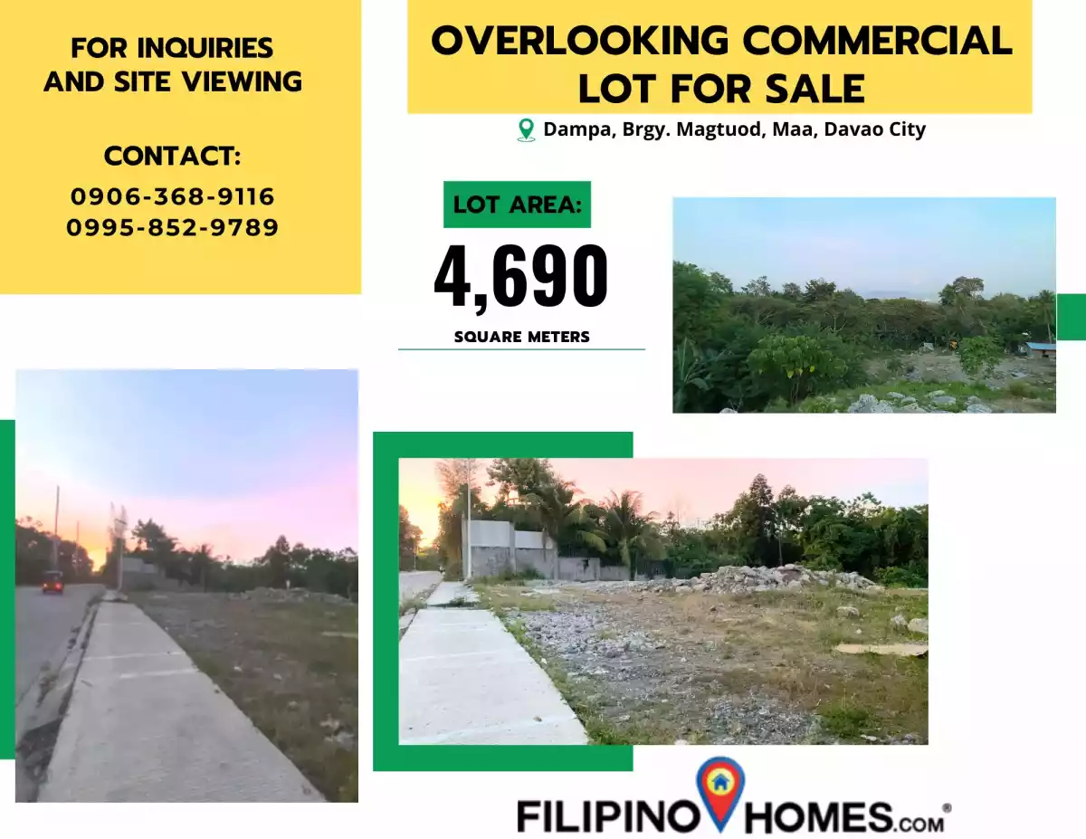 Overlooking Commercial Lot For Sale in Davao — Commercial Lot in Tugbok, Davao City, Davao del Sur — Photo 5