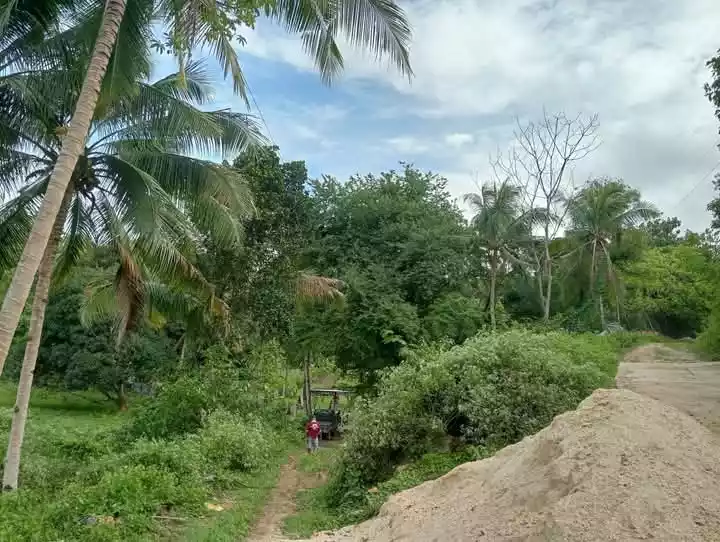 Farm Lot For Sale at Danao City — Residential Lot in Danao City, Cebu, Philippines — Photo 5