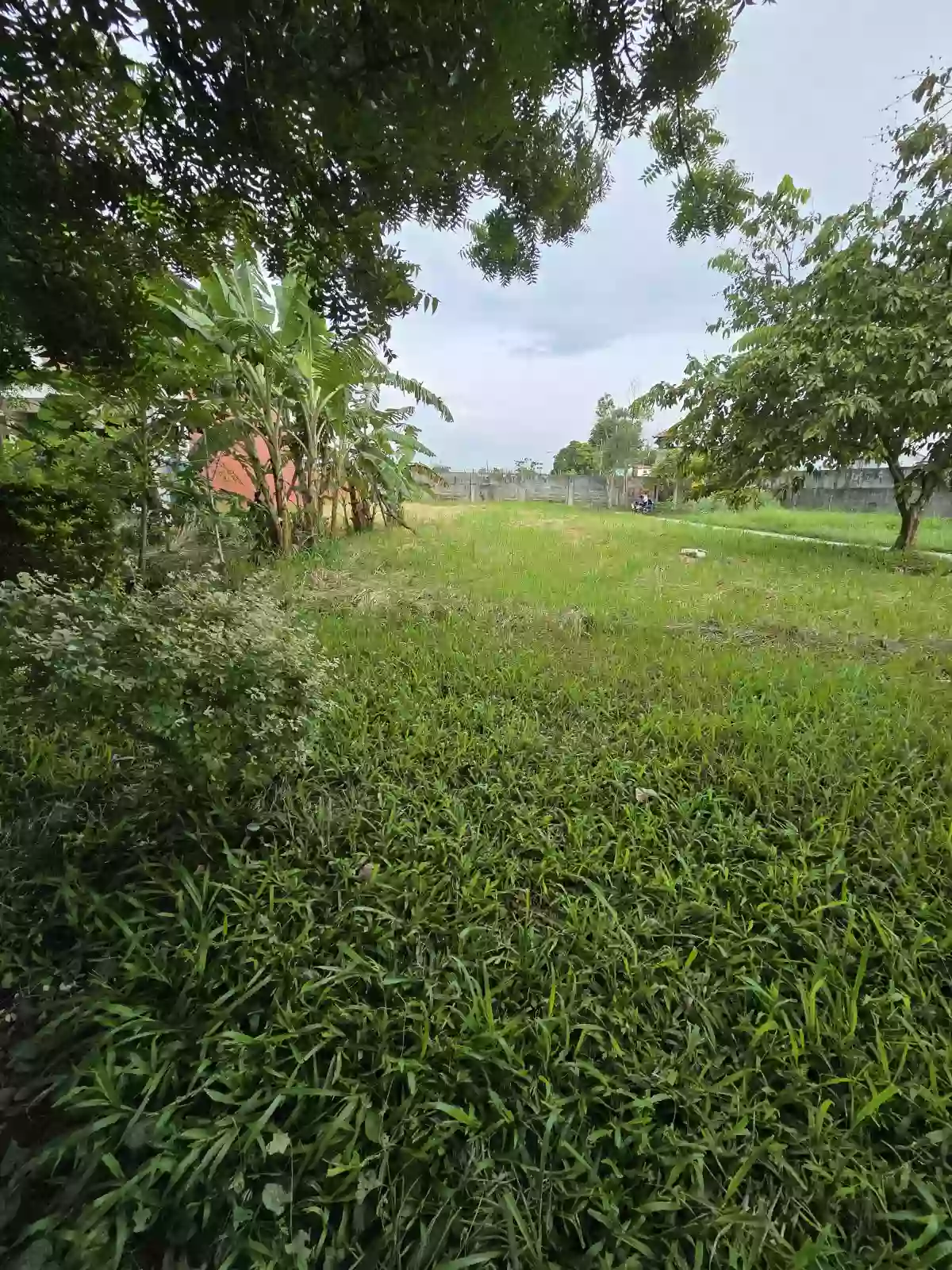 Prime Lot — Residential Lot in Talisay City, Negros Occidental, Philippines — Photo 2