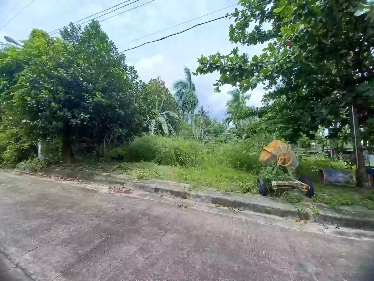 164sqm residential lot in El Monteverde in Lamac Consolacion