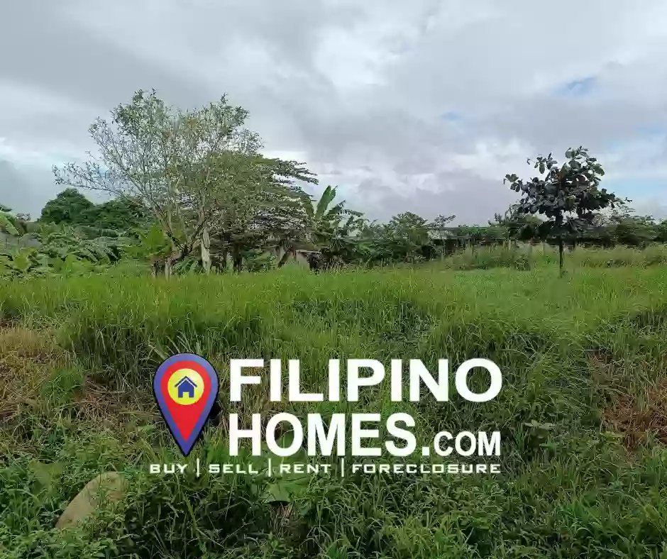Lot For Sale in Lucena City clean title, Good for Residential/Apartment/mini-resort 4mins ride to SM Lucena — Agricultural Lot — Photo 5