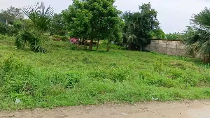 Lot For Sale in San Vicente Liloan — Residential Lot in Liloan, Cebu, Philippines — Photo 2