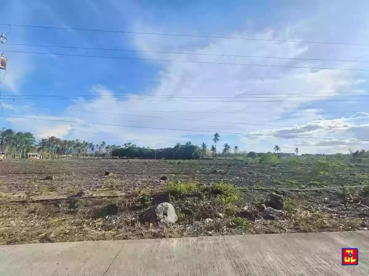 Amazing Lot for Sale in Maayongtubig, Dauin [available] — Agricultural Lot in Negros Oriental, Philippines — Photo 3