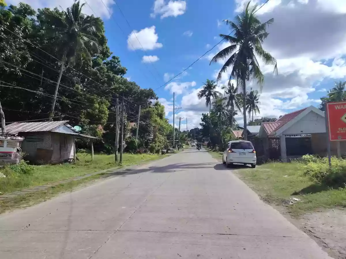 Lot for Sale in Baclayon, Bohol — Agricultural Lot in Baclayon, Bohol, Philippines — Photo 3