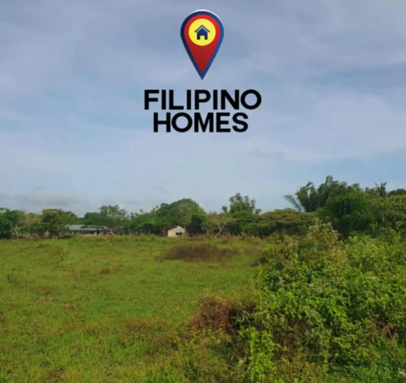 1000sqm RESIDENTIAL LOT FOR SALE — Residential Lot in Naga City, Camarines Sur, Philippines — Photo 5