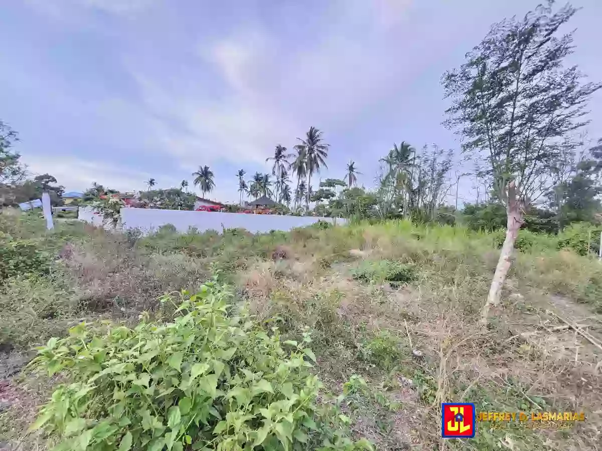 Rush Sale! 395sqm Lot in San Miguel, Bacong [available] — Residential Lot in Bacong, Negros Oriental, Philippines — Photo 2