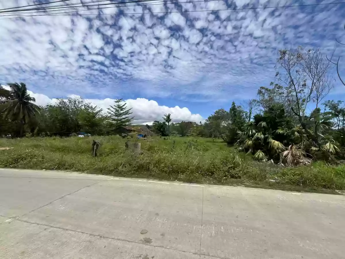 8,681 sqm AGRICULTURAL Lot for sale in COTCOT, LILOAN [TITLED] — Agricultural Lot in Liloan, Cebu, Philippines — Photo 4