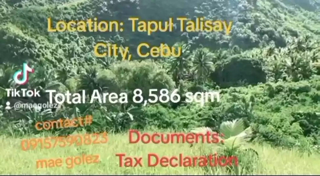 Sacrifice Sale FARM LOT, Tapul, Talisay City — Agricultural Lot in Cebu, Philippines — Photo 2