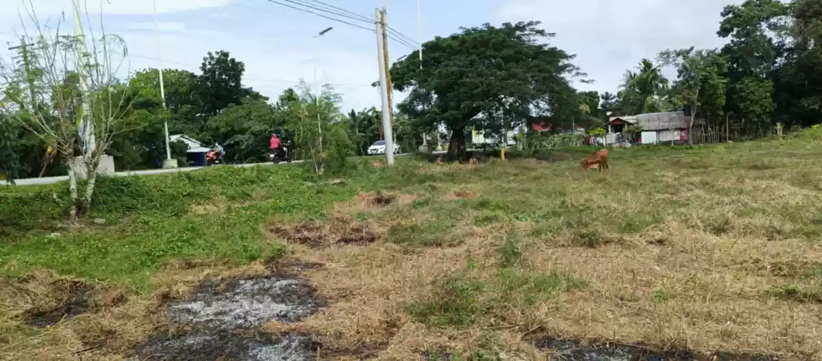 Commercial — Commercial Lot in Philippines — Photo 4
